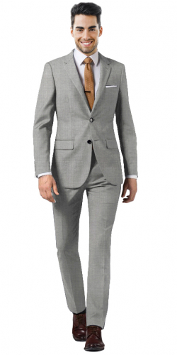 Basic Timeless Light Grey Suit